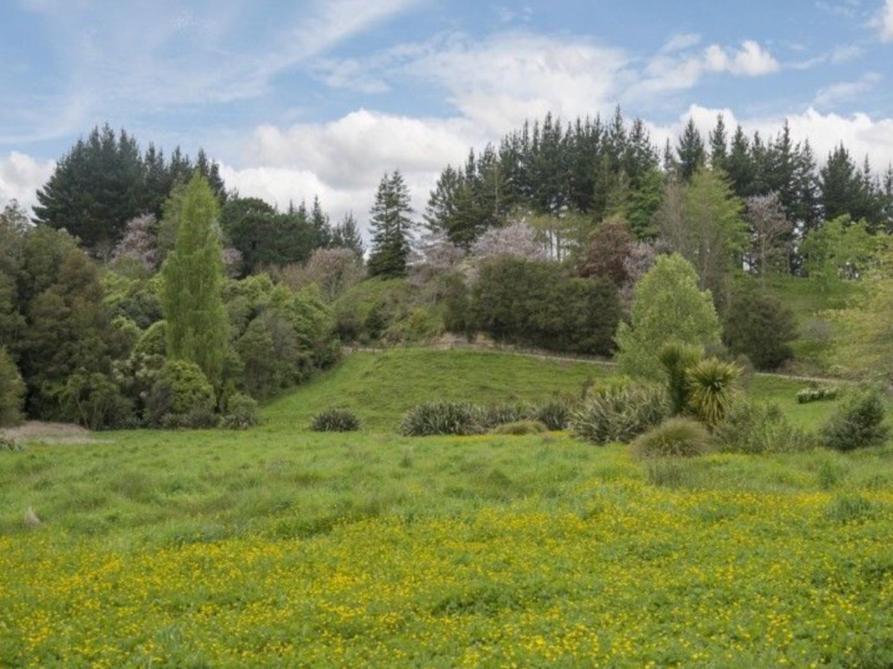 Above The River Karapiro Bed & Breakfast Экстерьер фото