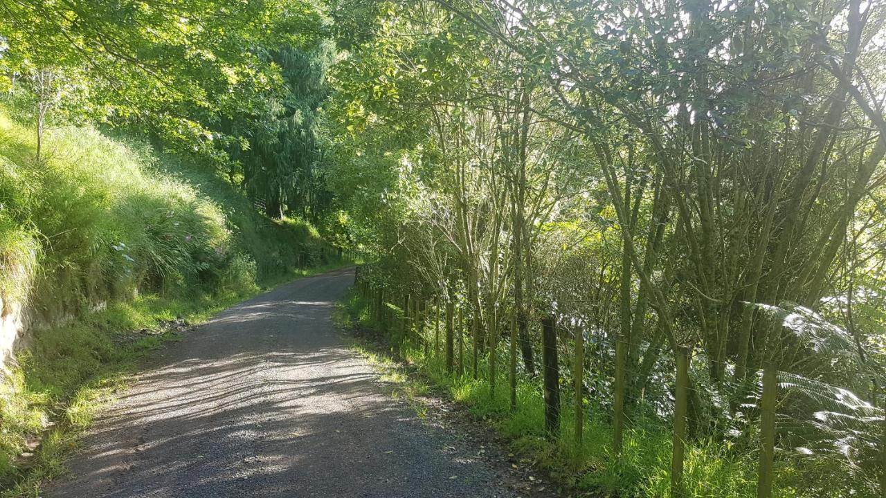 Above The River Karapiro Bed & Breakfast Экстерьер фото