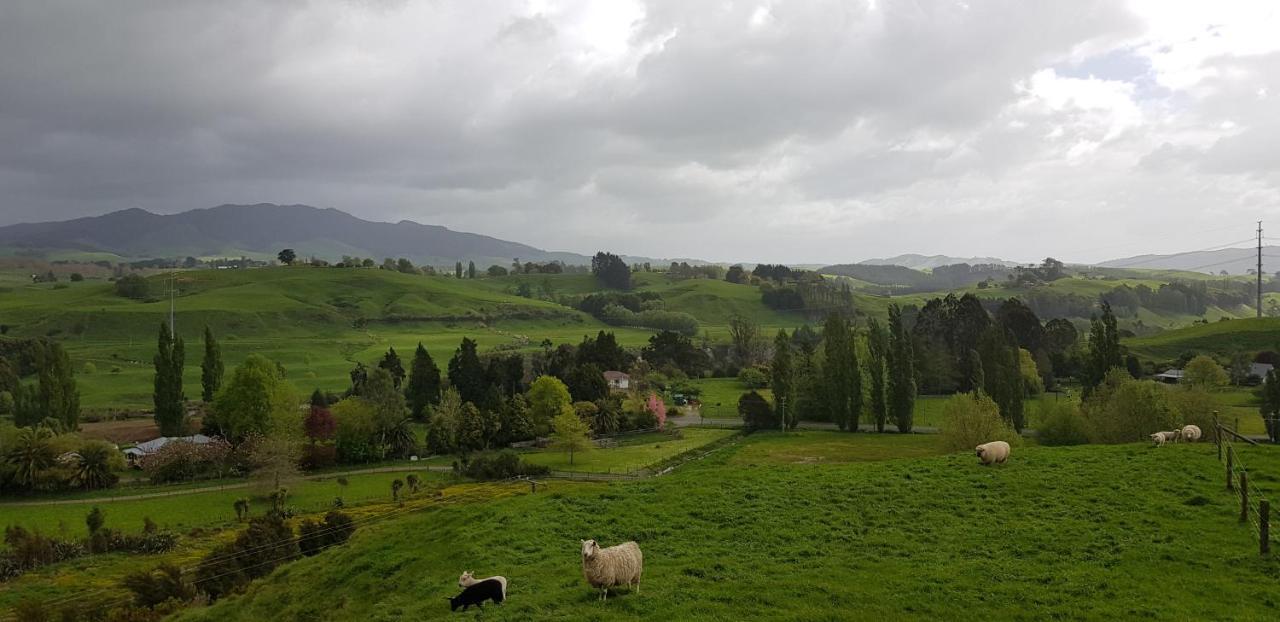 Above The River Karapiro Bed & Breakfast Экстерьер фото